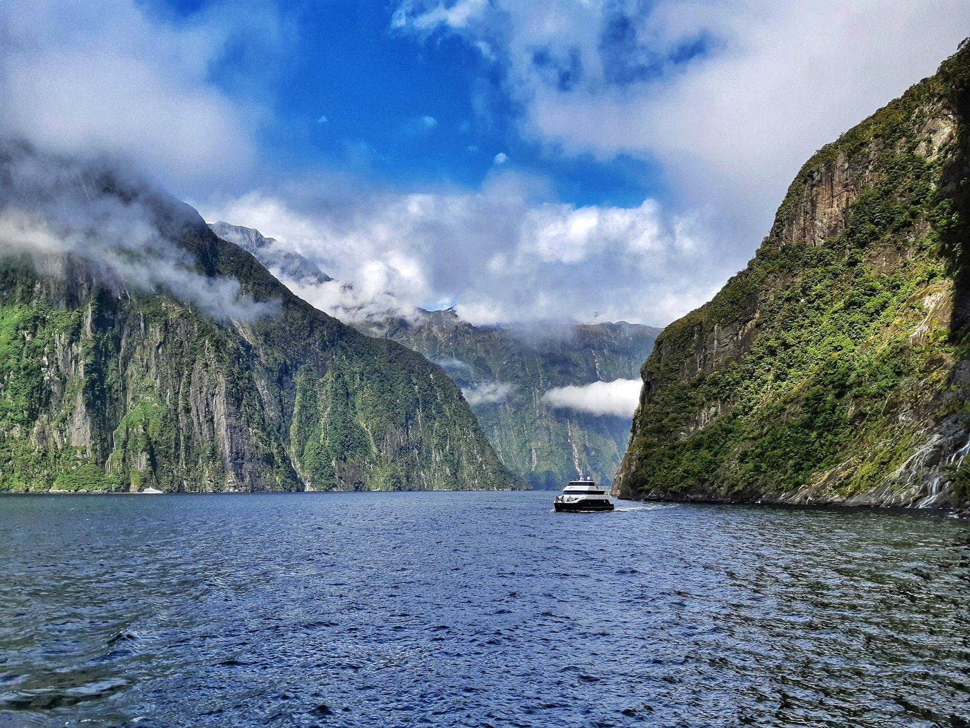 A boat on Milford Sound between green cliffs and cloud