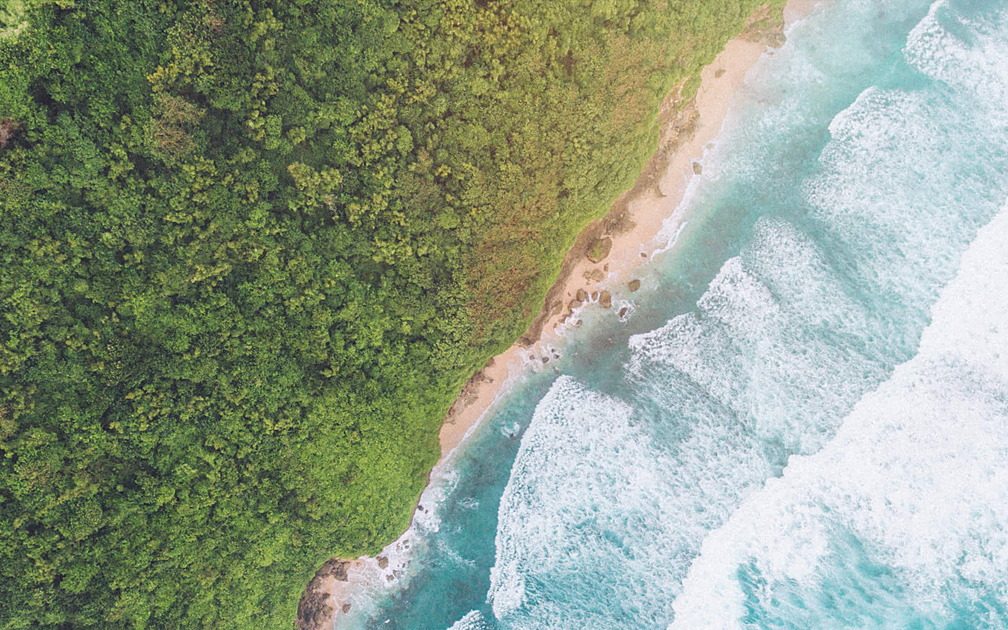 Aerial view of a surf coastline meeting dense jungle
