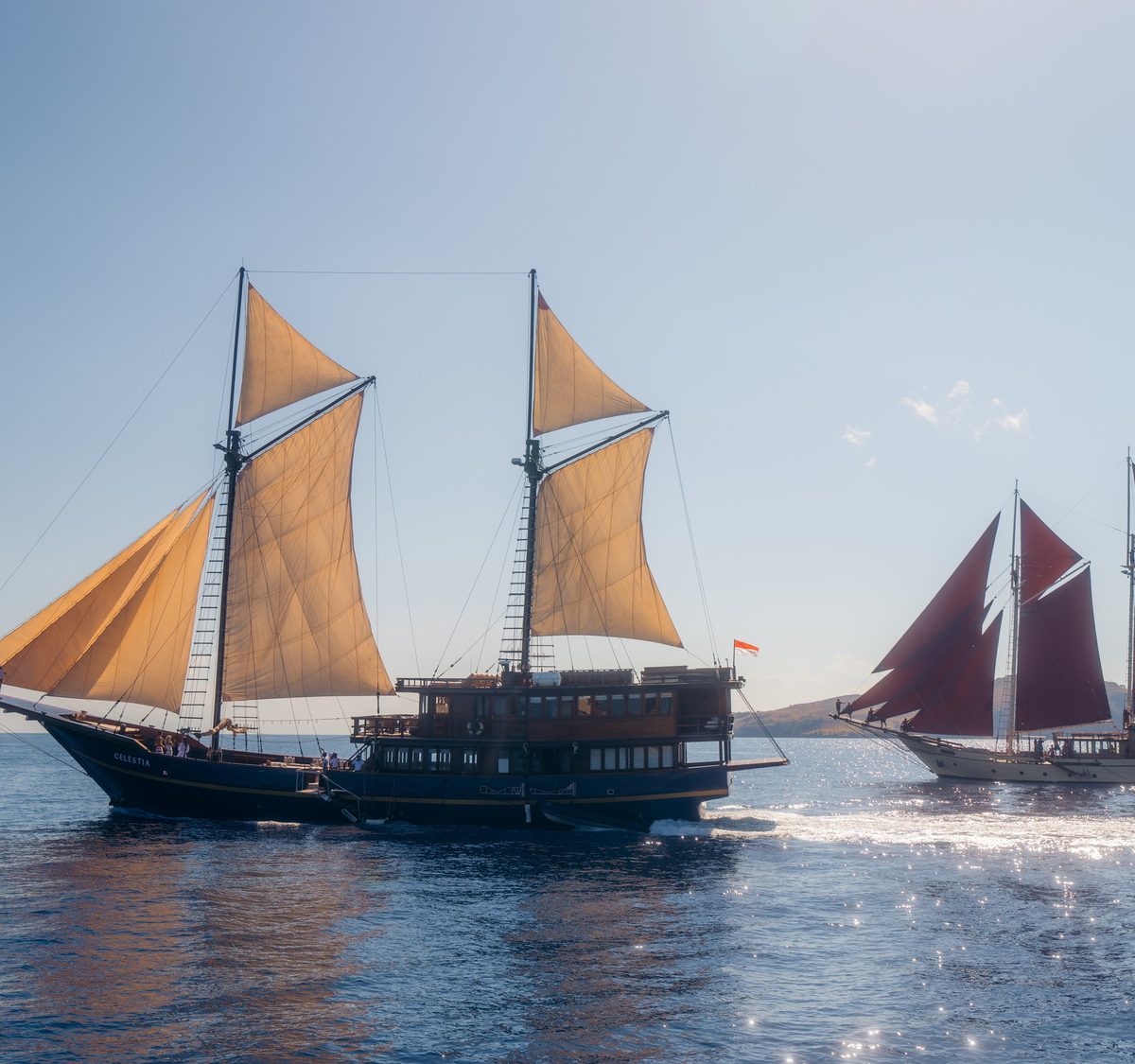 A fleet of phinisi under tan sails on a calm sea