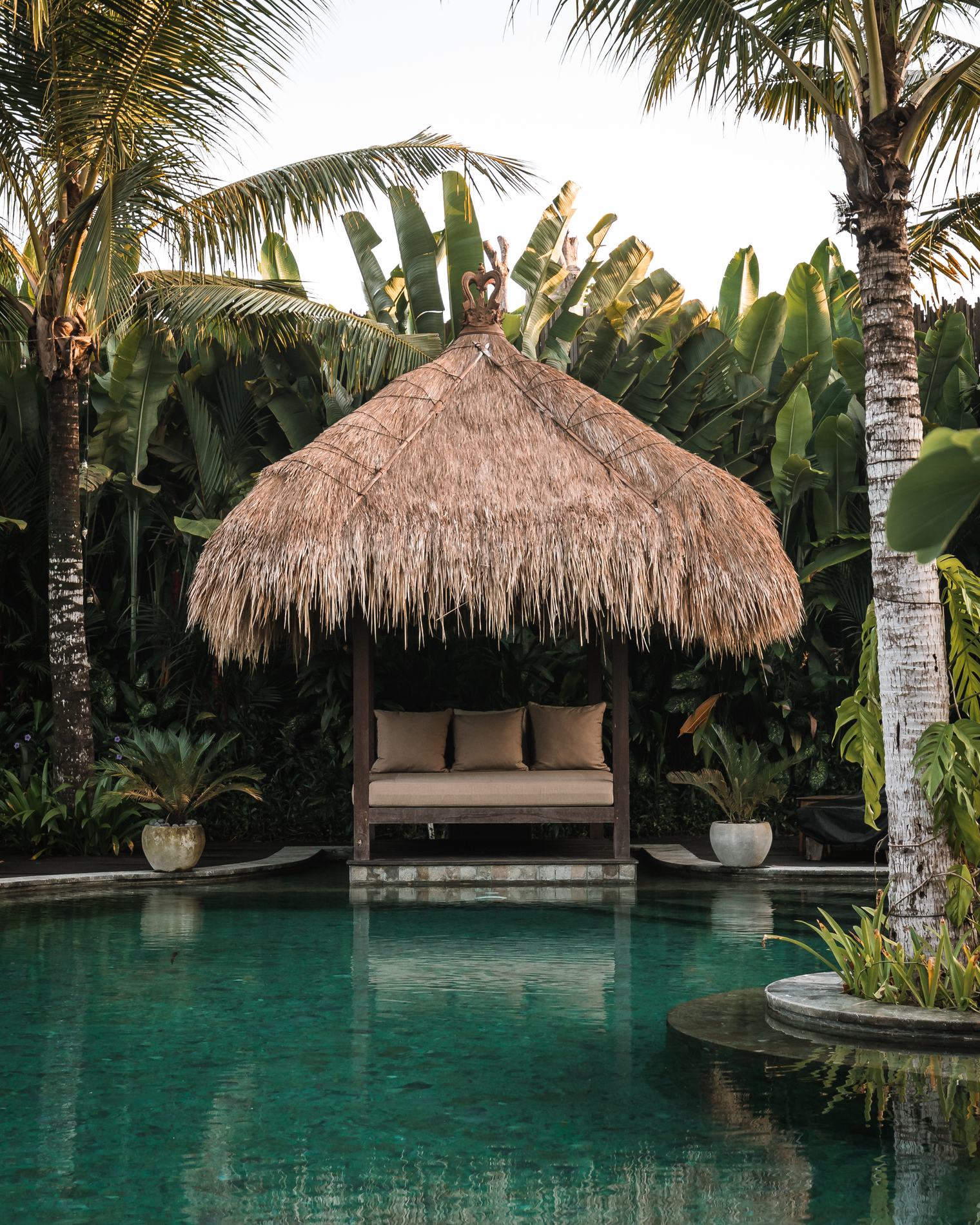 A thatched bale beside the pool among palms