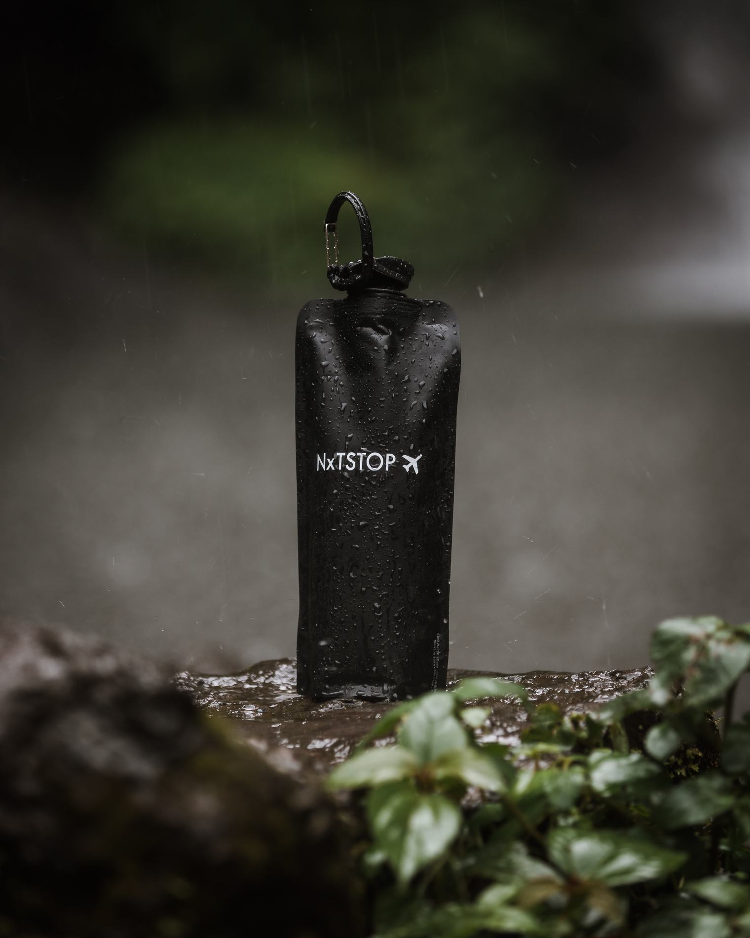 The bottle standing in a stream among green leaves