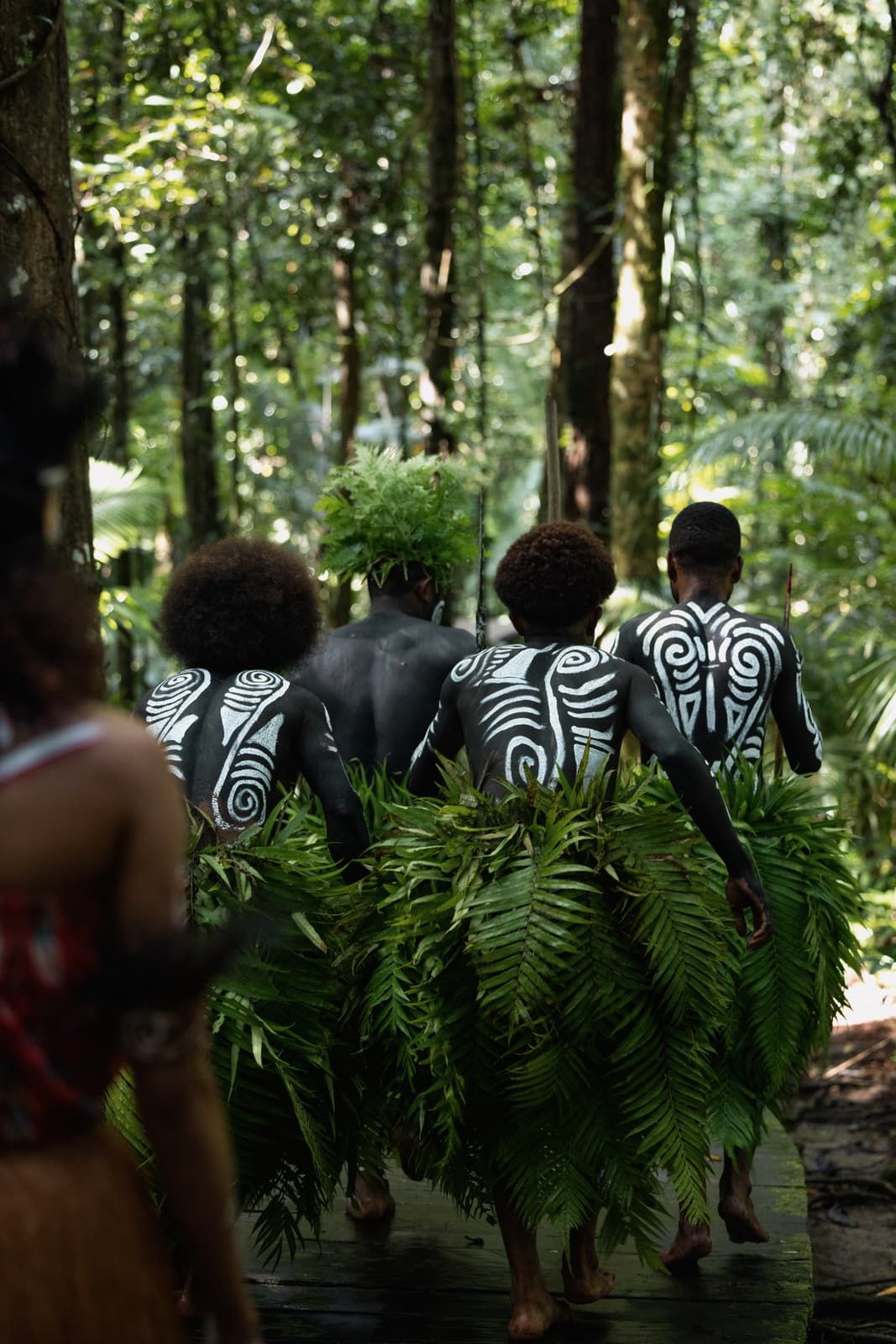 Men with white-patterned body paint and fern skirts walking away along a forest path