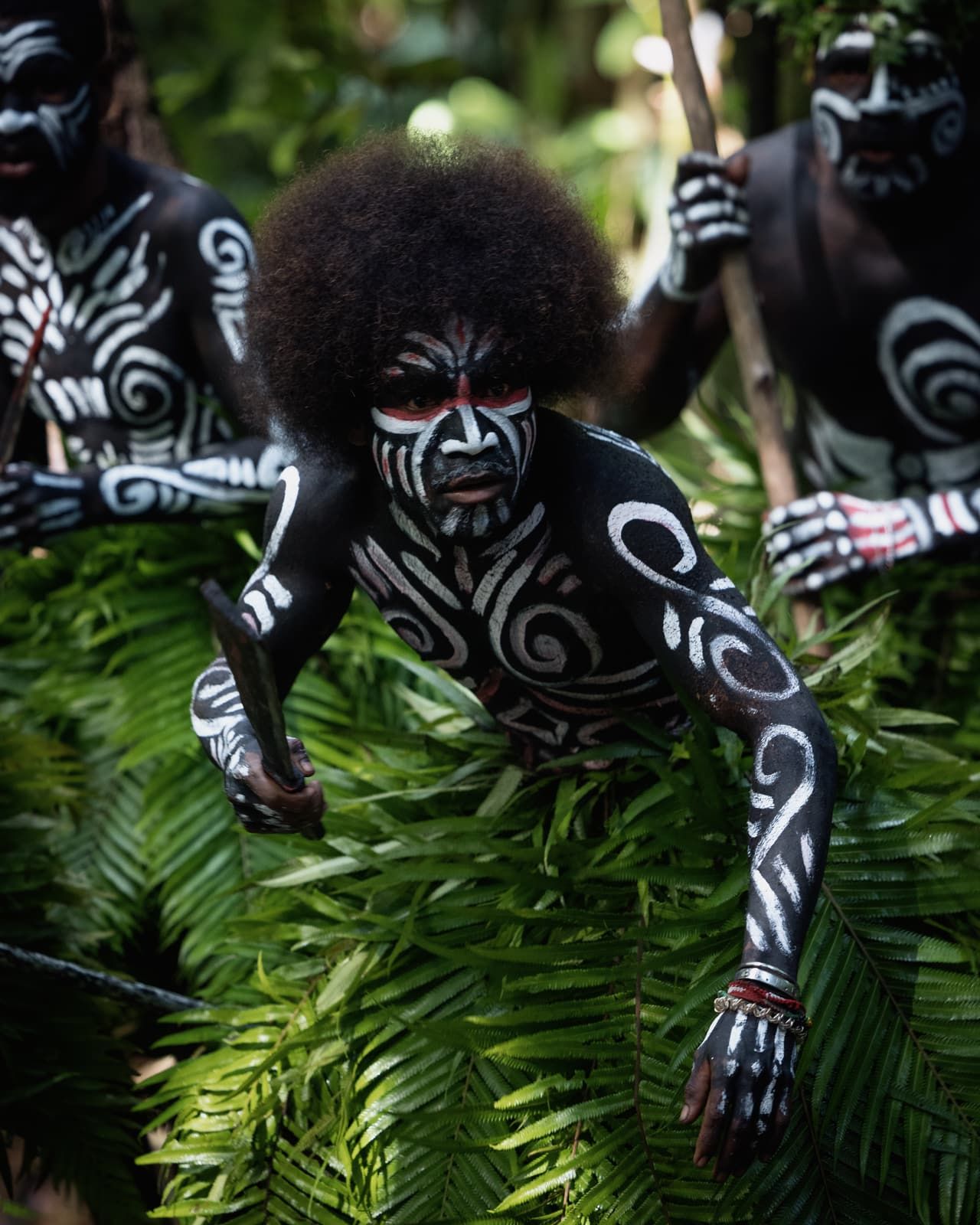 A man in white body paint and a fern skirt crouching forward, others painted the same behind him