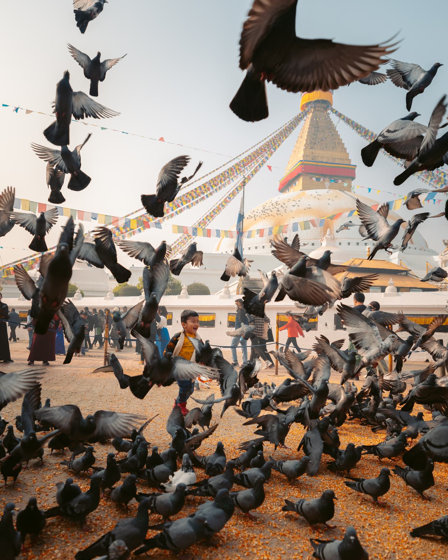Pigeons taking off in the square beneath the stupa