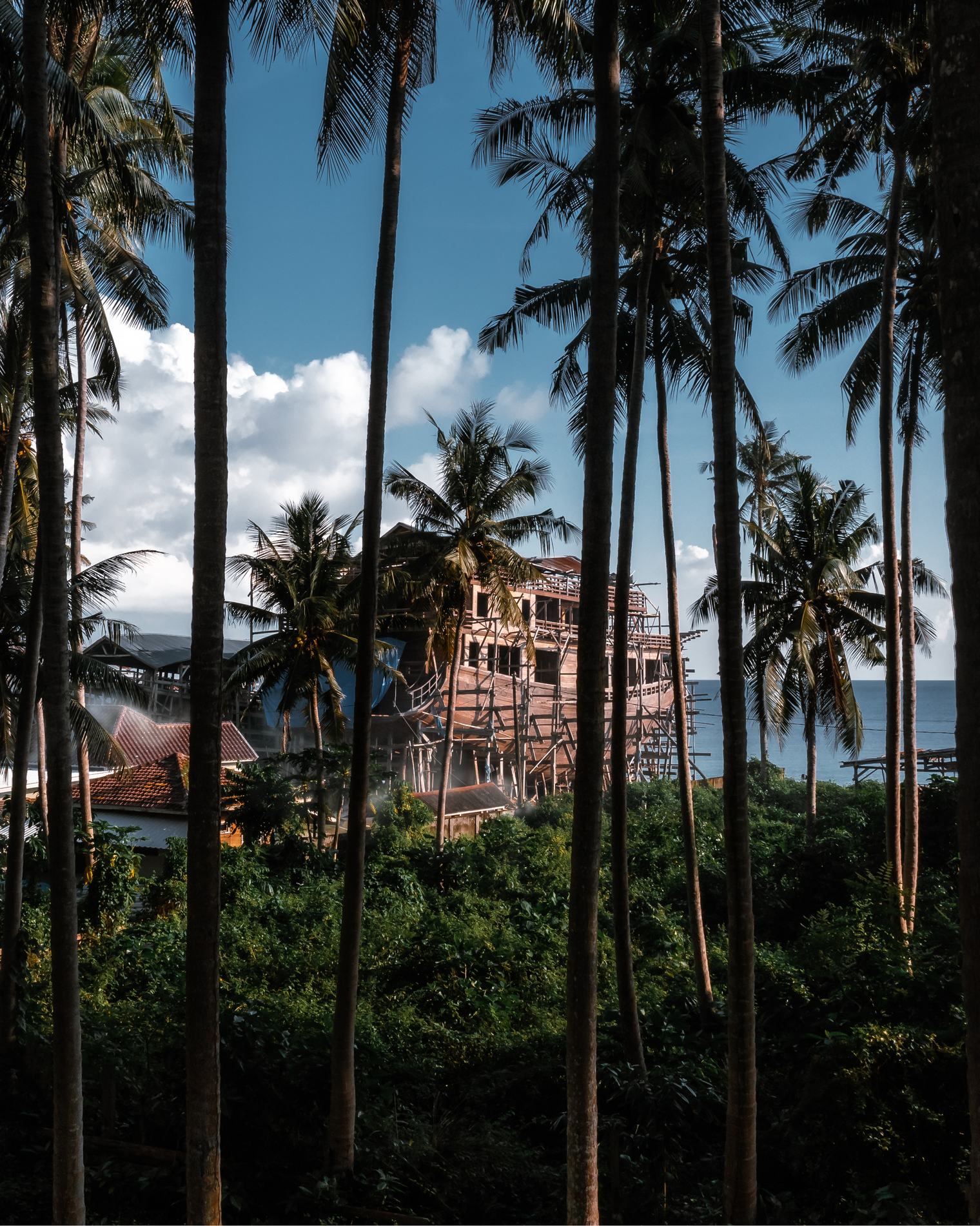 The unfinished hull seen between tall palm trunks