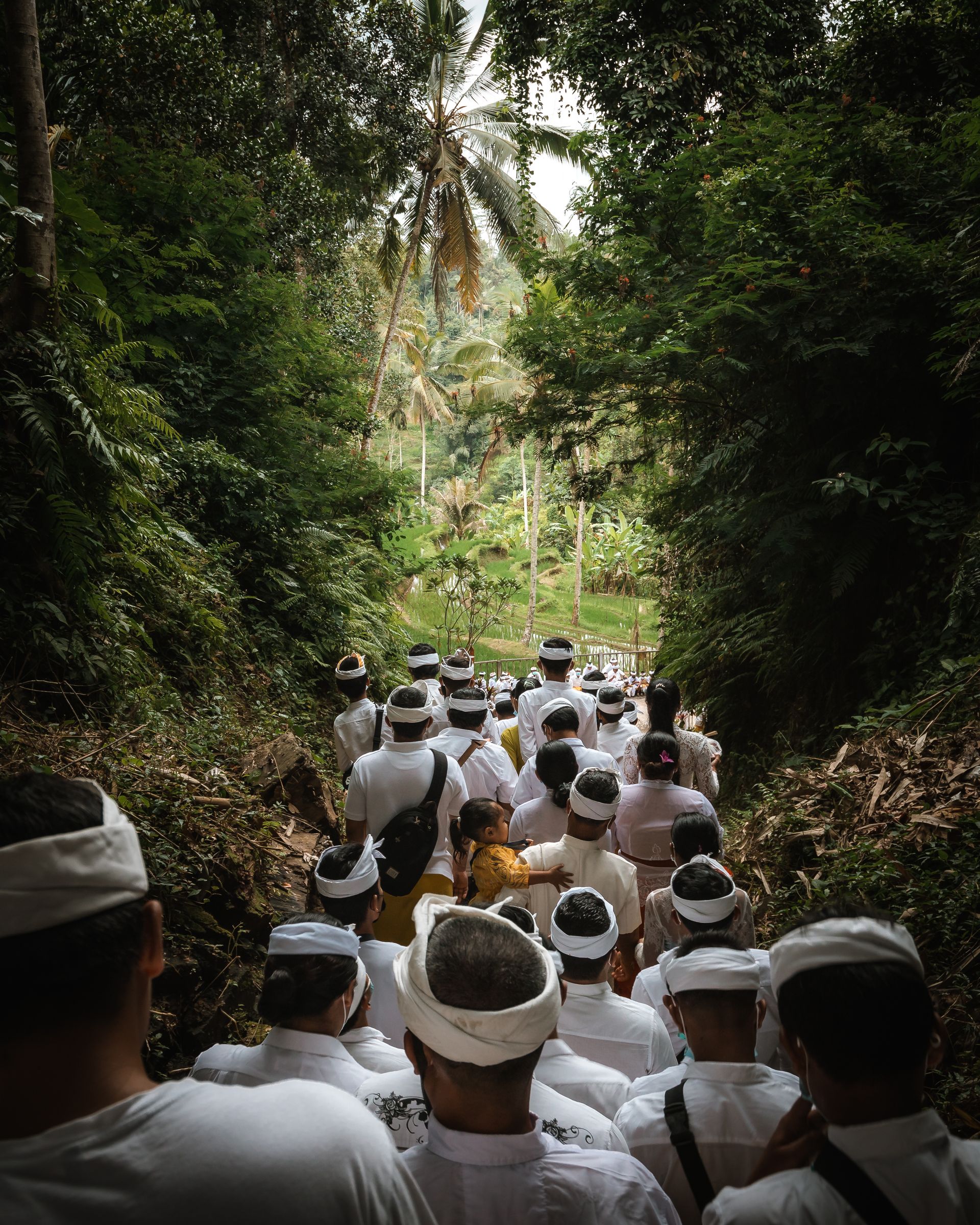 A procession in white ceremonial dress walking up a jungle path